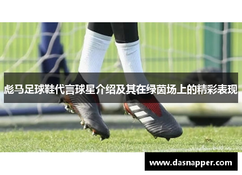 彪马足球鞋代言球星介绍及其在绿茵场上的精彩表现